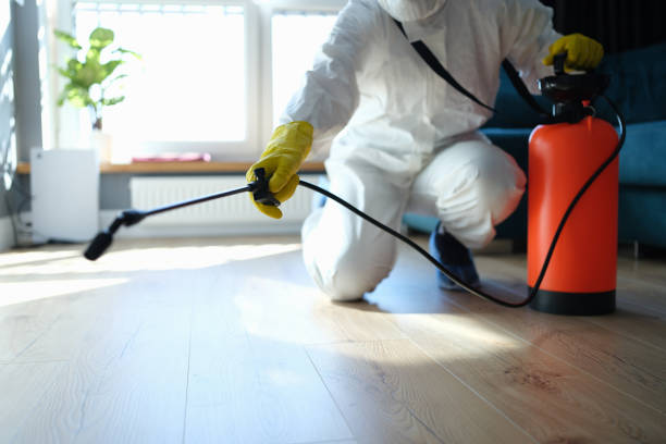 Reliable Odor Removal contractor in Titusville, PA by Trauma Clean Pros